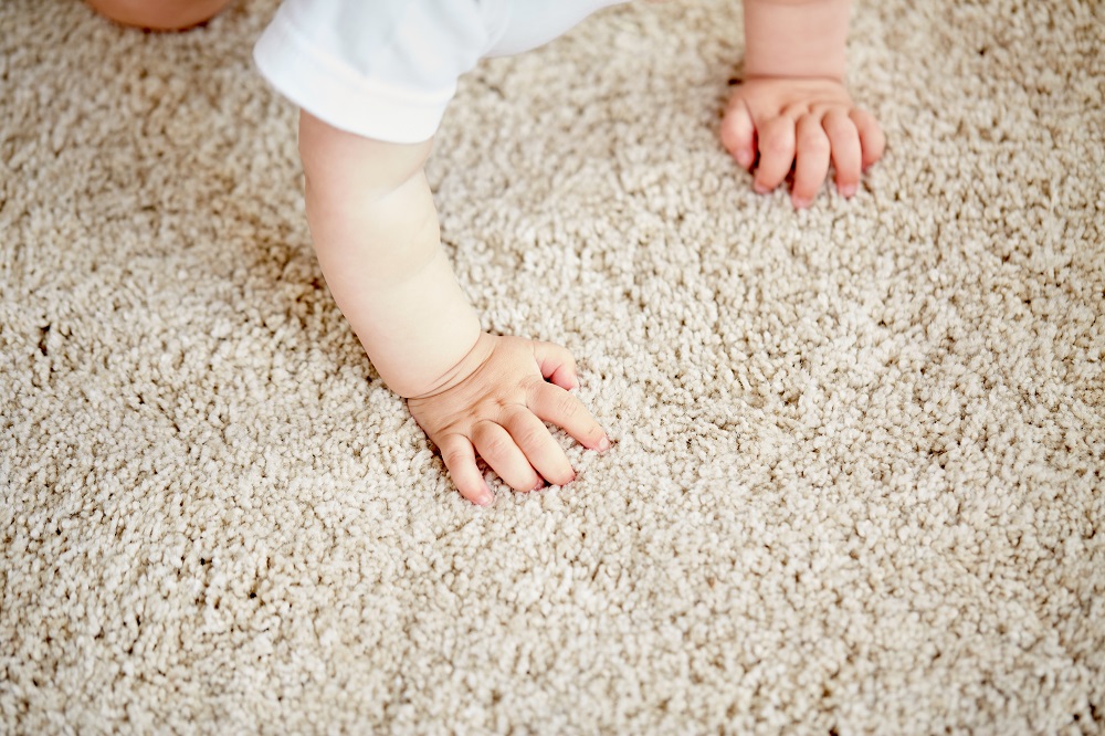 carpet and carpet tiles