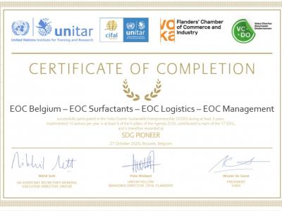 UNITAR Certificate of Completion 
